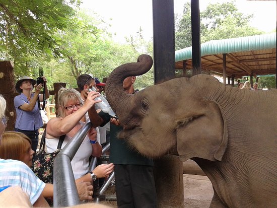 Private Sri Lanka Tour with Sun Down Tours